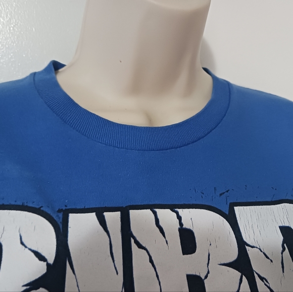 Angry Bird short sleeve crew neck pullover graphic tee, size small, color blue - Picture 6 of 6